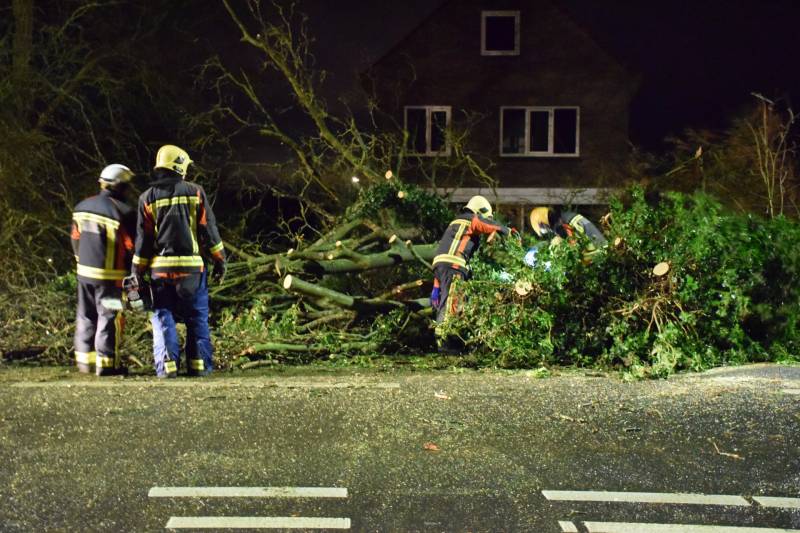 boom valt omver en blokkeert fietspad