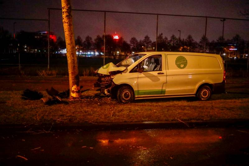 Bestelbus botst frontaal op boom