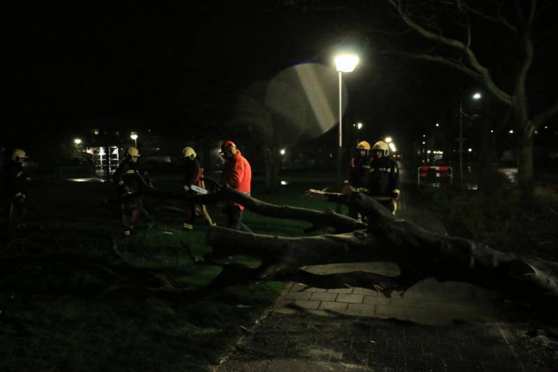 Brandweer zaagt omgewaaide boom in stukken