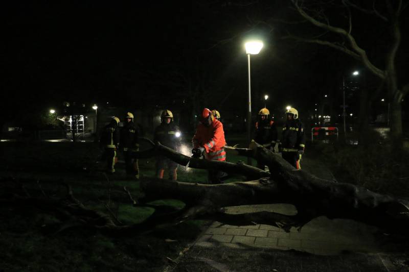 Brandweer zaagt omgewaaide boom in stukken