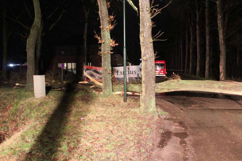 Brandweer verwijderd omgevallen boom