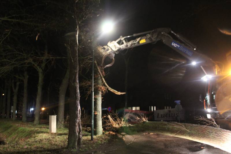 Brandweer verwijderd omgevallen boom