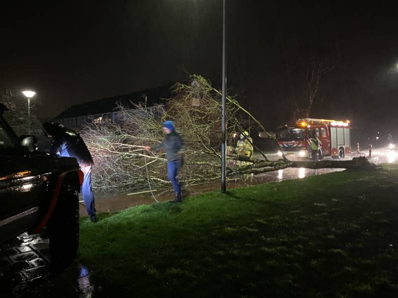 Boom met auto van de weg getrokken