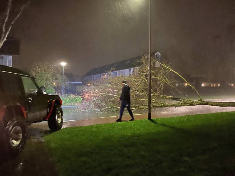 Boom met auto van de weg getrokken