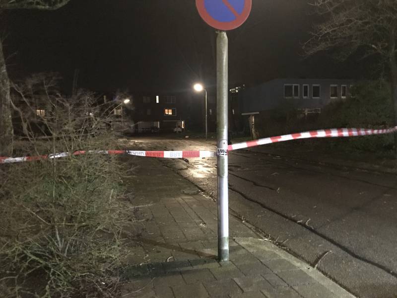 Boom staat op vallen, brandweer zet straat af
