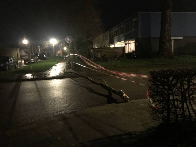 Boom staat op vallen, brandweer zet straat af