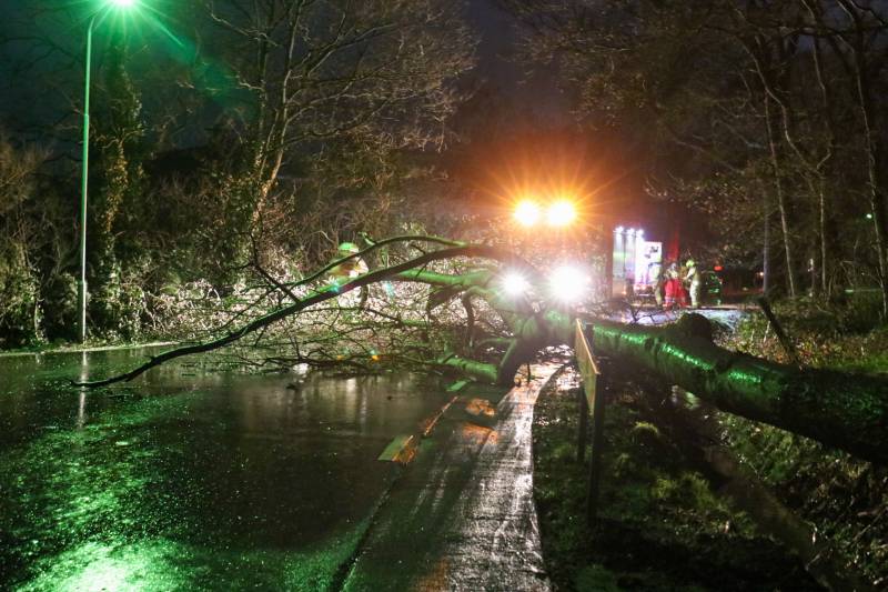 Grote boom versperd weg