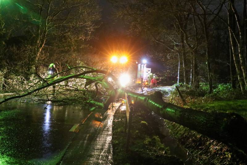 Grote boom versperd weg