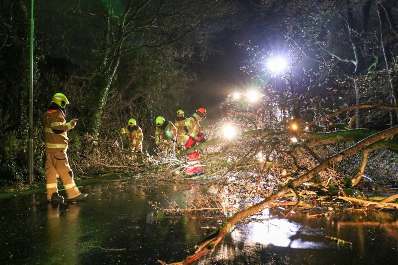 Grote boom versperd weg