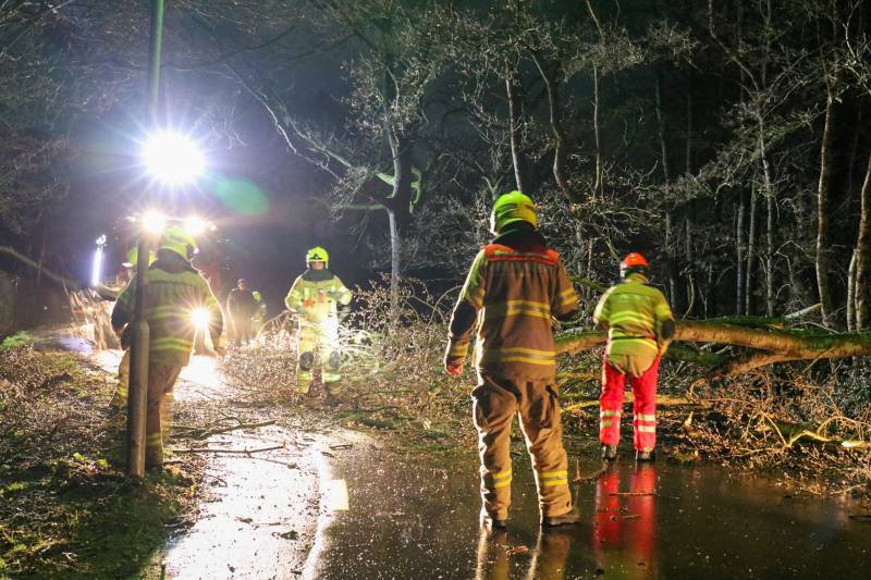 Grote boom versperd weg