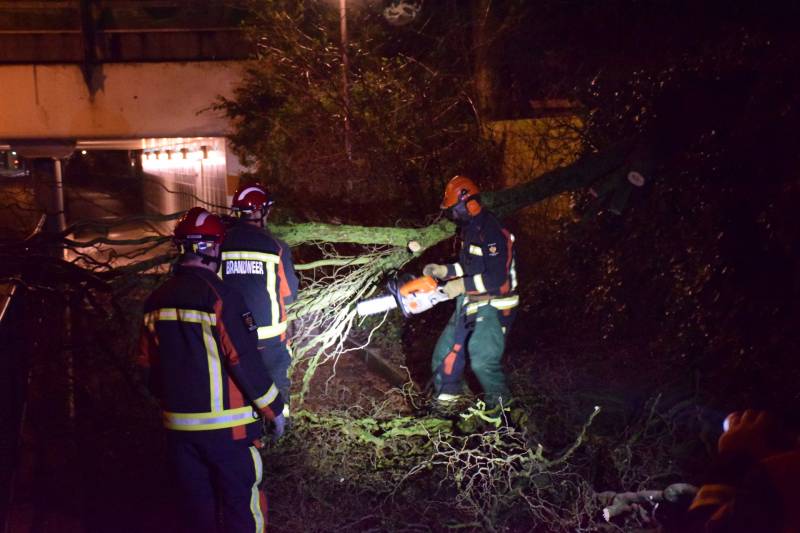 Voorbijgangers vinden omgeknakte boom op fietspad