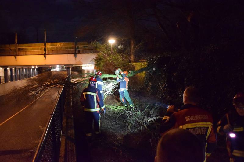 Voorbijgangers vinden omgeknakte boom op fietspad