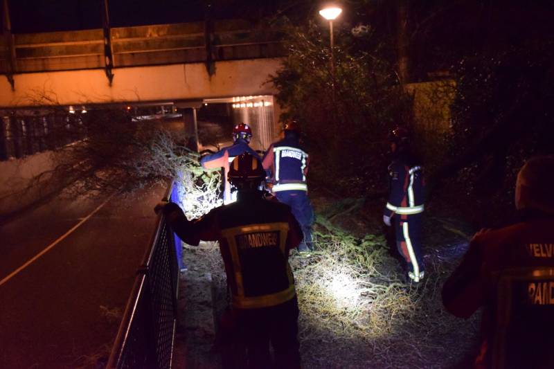 Voorbijgangers vinden omgeknakte boom op fietspad