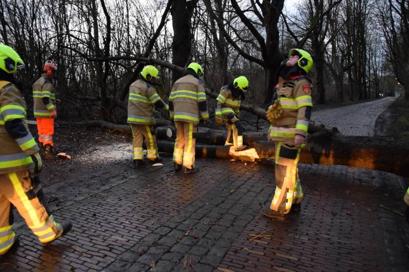 Omgewaaide boom verspert weg
