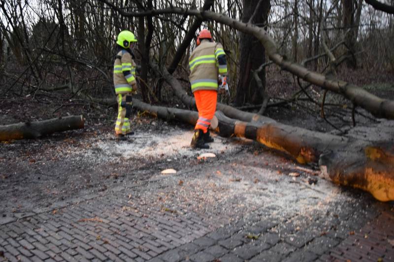 Omgewaaide boom verspert weg