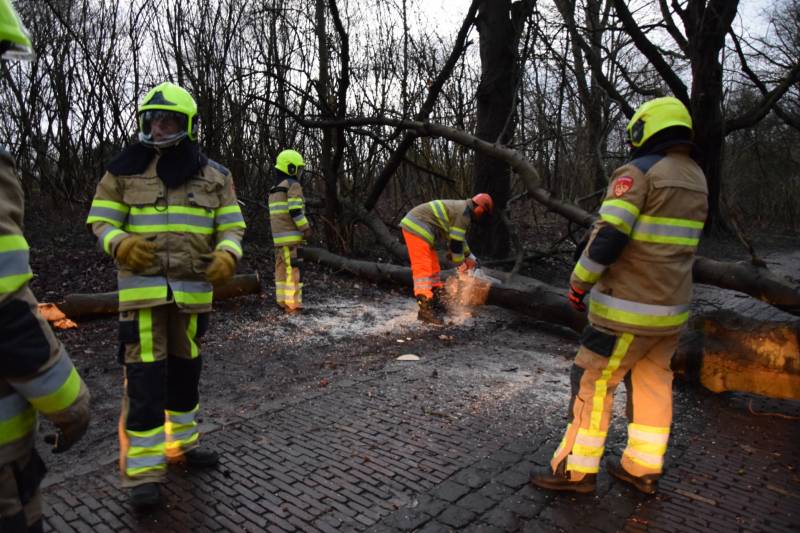 Omgewaaide boom verspert weg