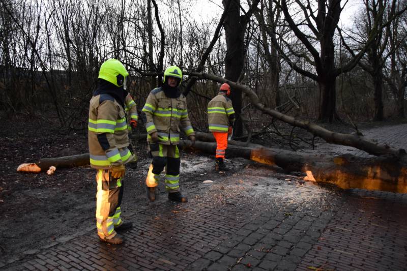 Omgewaaide boom verspert weg