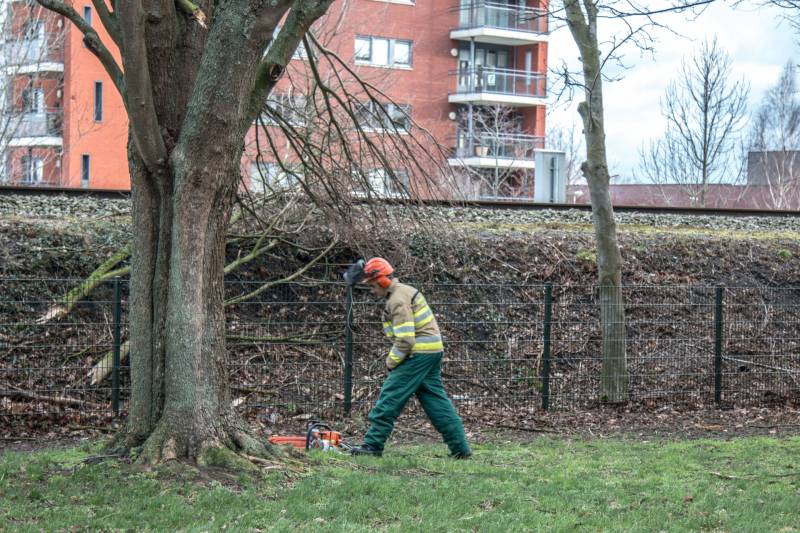 Meerdere takken op het spoor door storm Ciara