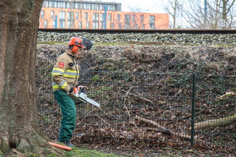 Meerdere takken op het spoor door storm Ciara