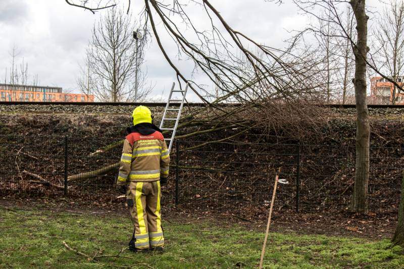 Meerdere takken op het spoor door storm Ciara