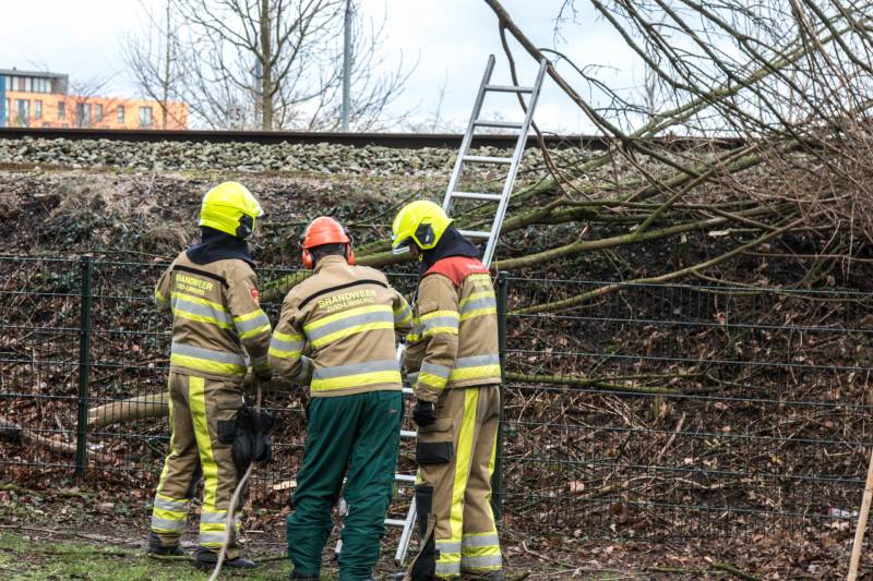 Meerdere takken op het spoor door storm Ciara