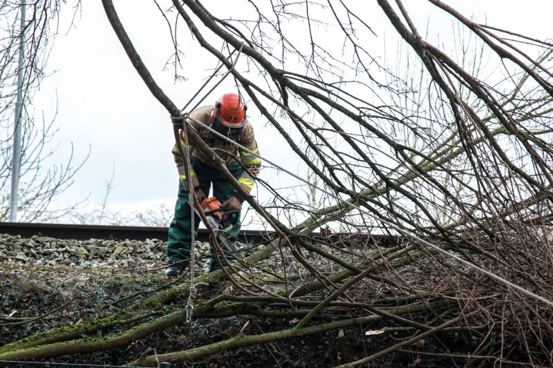 Meerdere takken op het spoor door storm Ciara