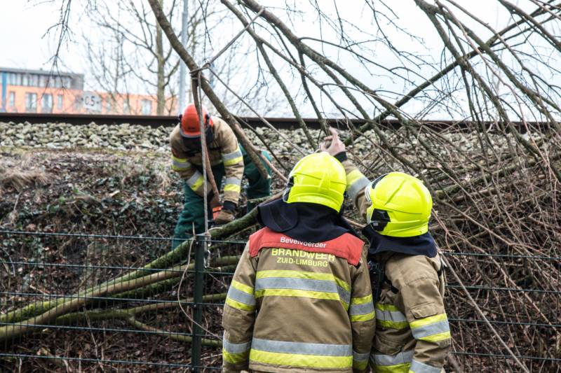 Meerdere takken op het spoor door storm Ciara