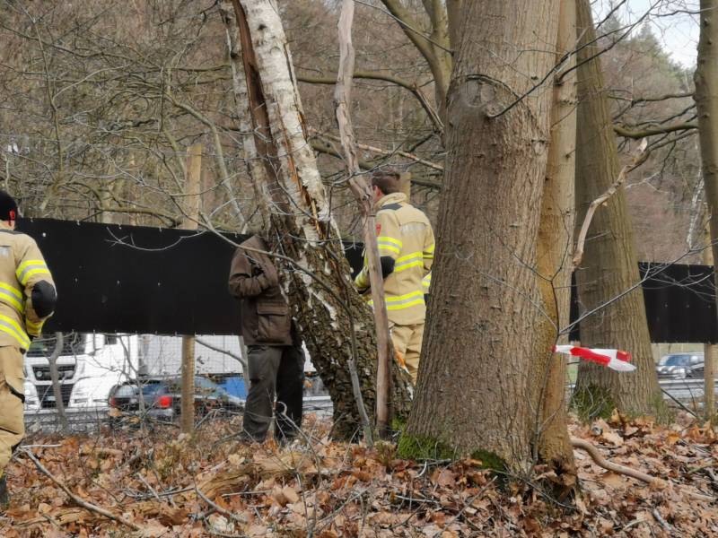 Boom dreigt op A12 te vallen
