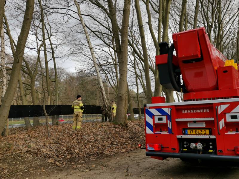 Boom dreigt op A12 te vallen