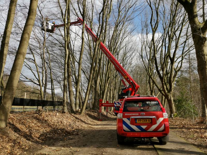 Boom dreigt op A12 te vallen