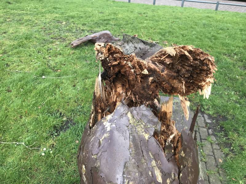 Kunstwerk Famke Mei Fugel heeft storm Ciara niet overleefd