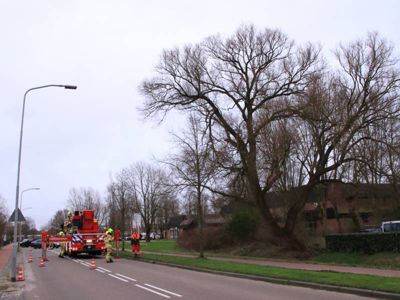 Weg afgesloten om afgebroken dikke tak