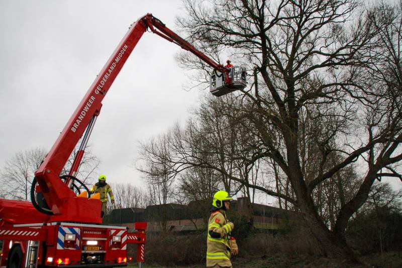 Weg afgesloten om afgebroken dikke tak