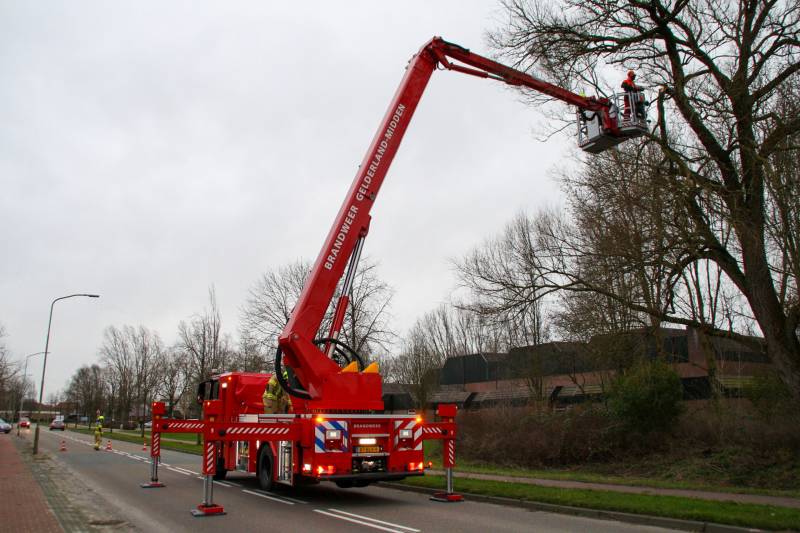 Weg afgesloten om afgebroken dikke tak