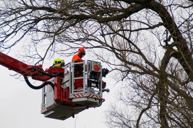 Weg afgesloten om afgebroken dikke tak