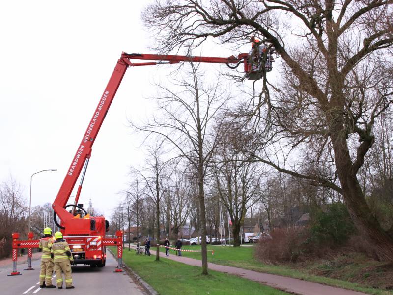 Weg afgesloten om afgebroken dikke tak