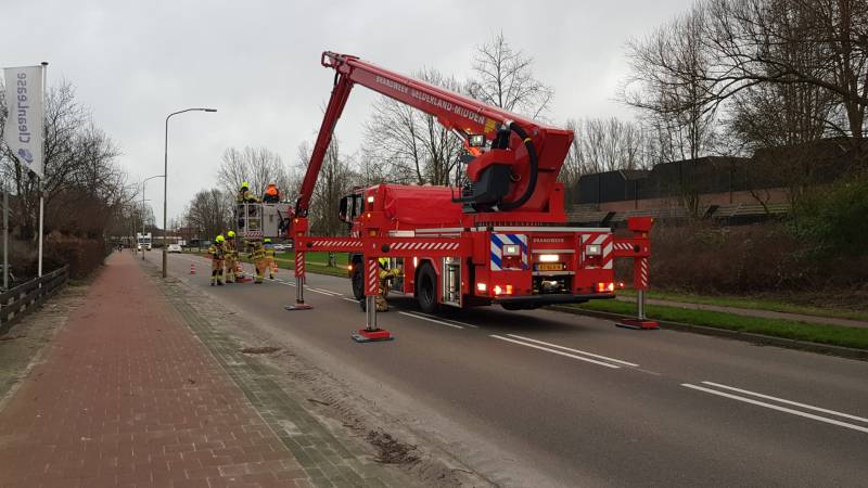 Weg afgesloten om afgebroken dikke tak