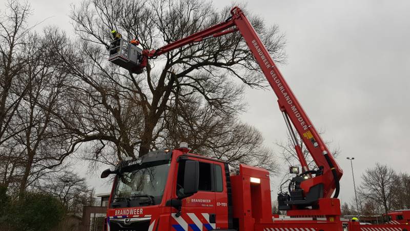 Weg afgesloten om afgebroken dikke tak
