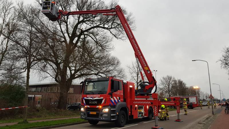 Weg afgesloten om afgebroken dikke tak