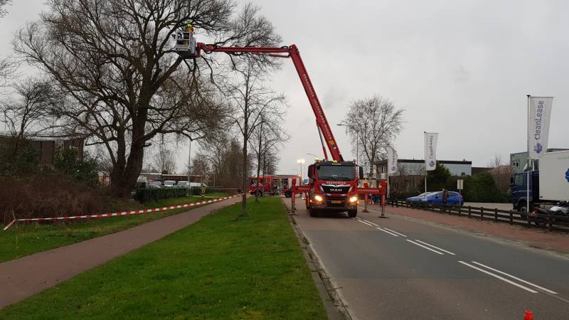 Weg afgesloten om afgebroken dikke tak