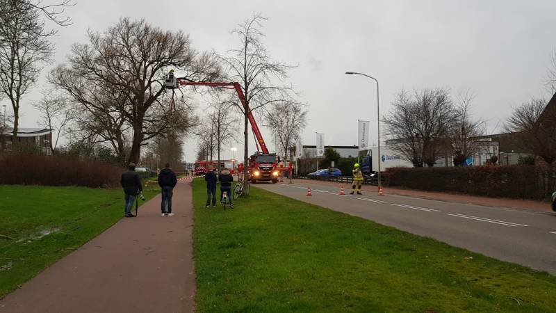 Weg afgesloten om afgebroken dikke tak