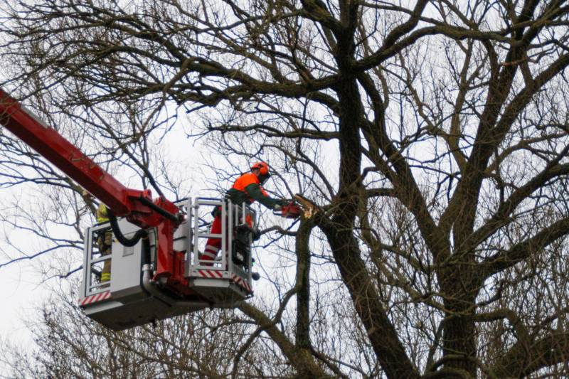 Weg afgesloten om afgebroken dikke tak
