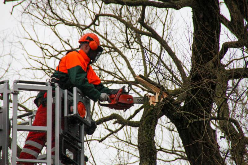 Weg afgesloten om afgebroken dikke tak