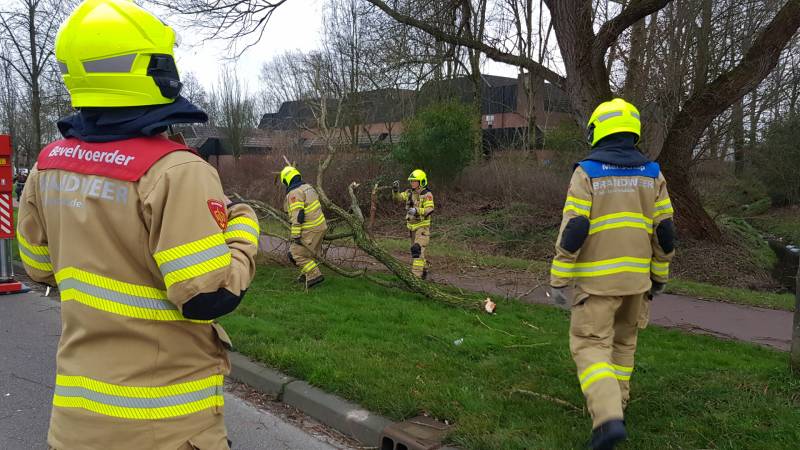 Weg afgesloten om afgebroken dikke tak