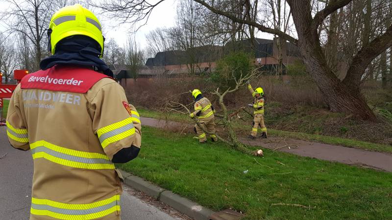 Weg afgesloten om afgebroken dikke tak
