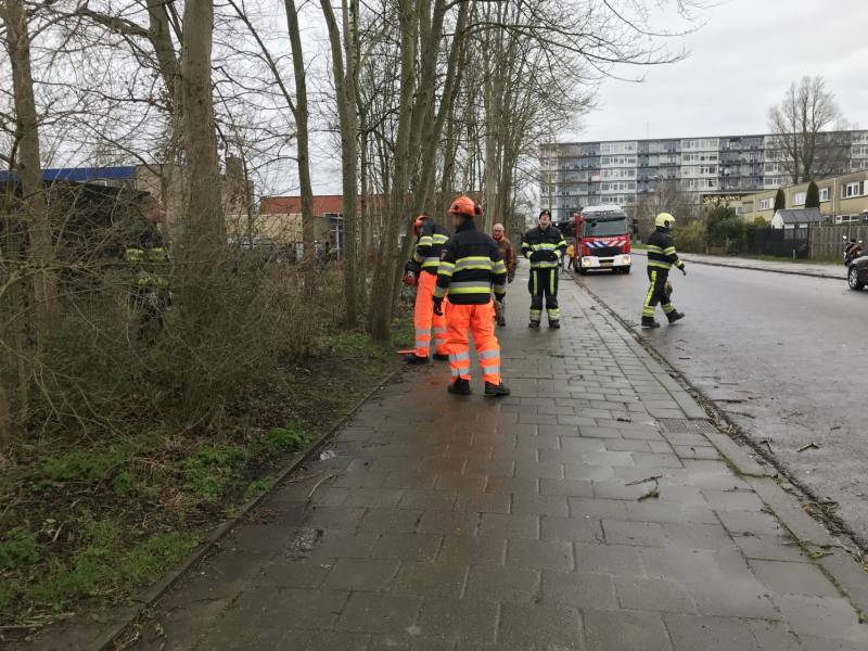 Brandweer haalt gevaarlijk hangende boom neer