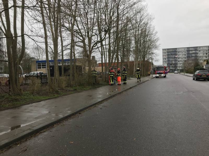 Brandweer haalt gevaarlijk hangende boom neer