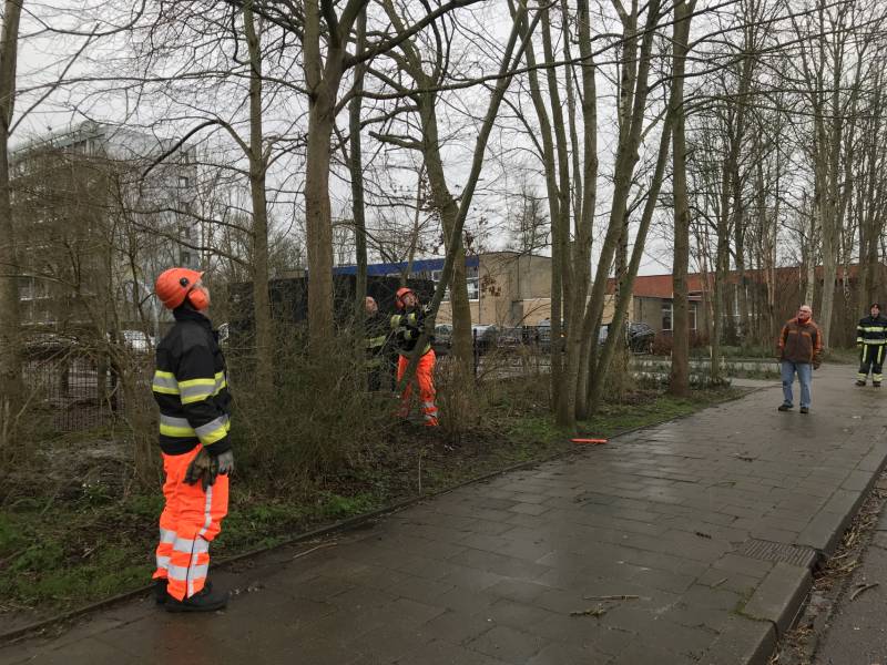 Brandweer haalt gevaarlijk hangende boom neer
