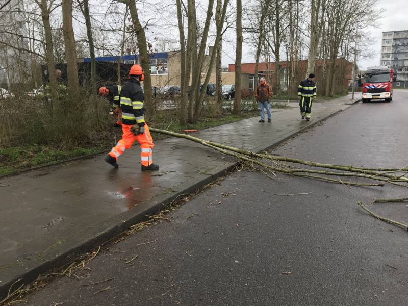 Brandweer haalt gevaarlijk hangende boom neer