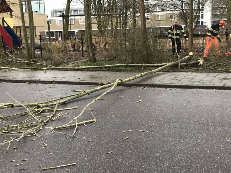 Brandweer haalt gevaarlijk hangende boom neer